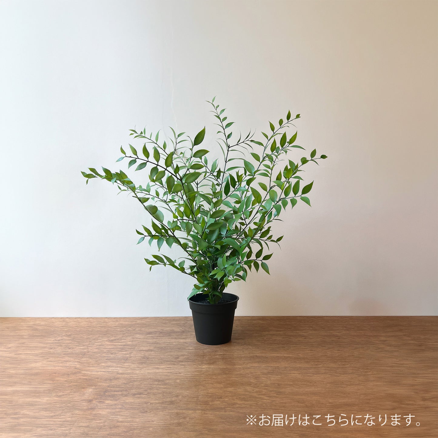 【フェイクグリーン】イタリアンルスカス エアリーポット 45cm 2