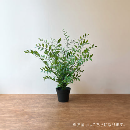 【フェイクグリーン】イタリアンルスカス エアリーポット 45cm 2
