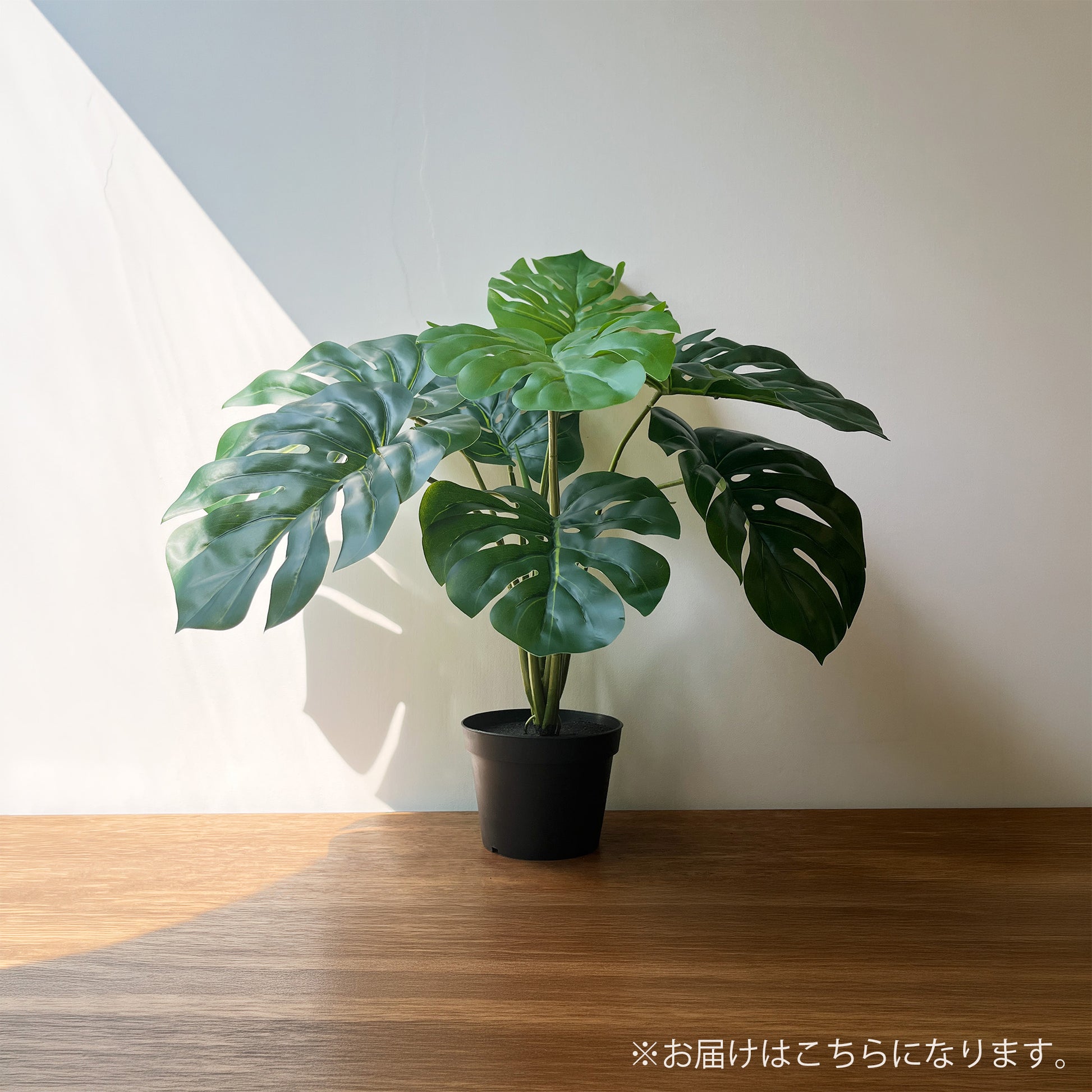 【フェイクグリーン】モンステラ センターポット 50cm 4