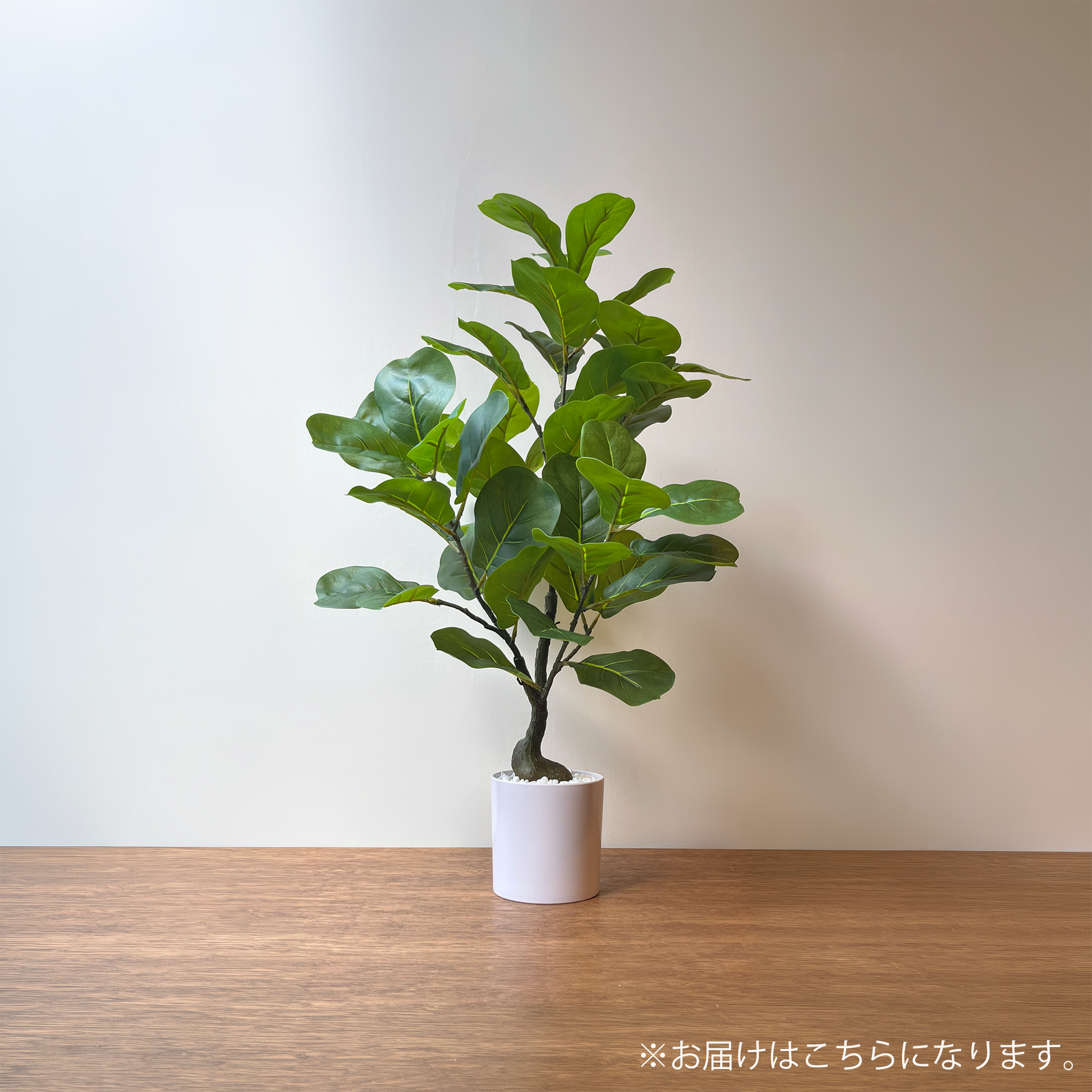【フェイクグリーン】ゴムノキ ホワイトポット 65cm 2