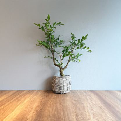 【フェイクグリーン】ラスティック ルスカスベース 60cm 1