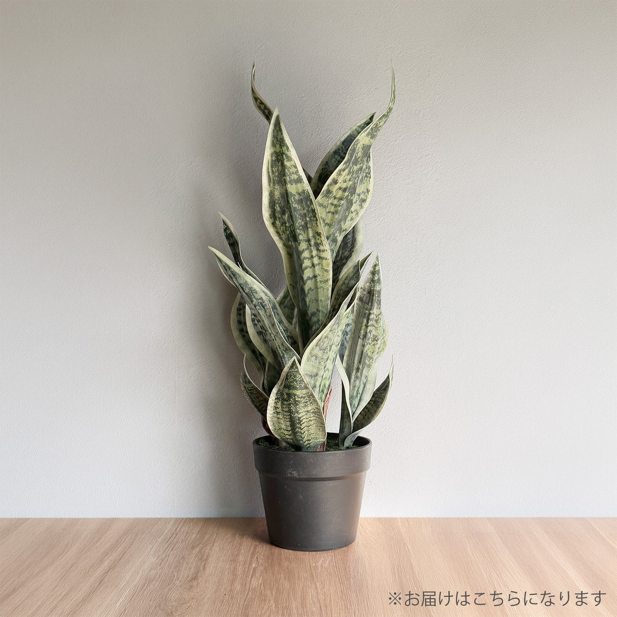 【フェイクグリーン】サンセベリア 65cm 2