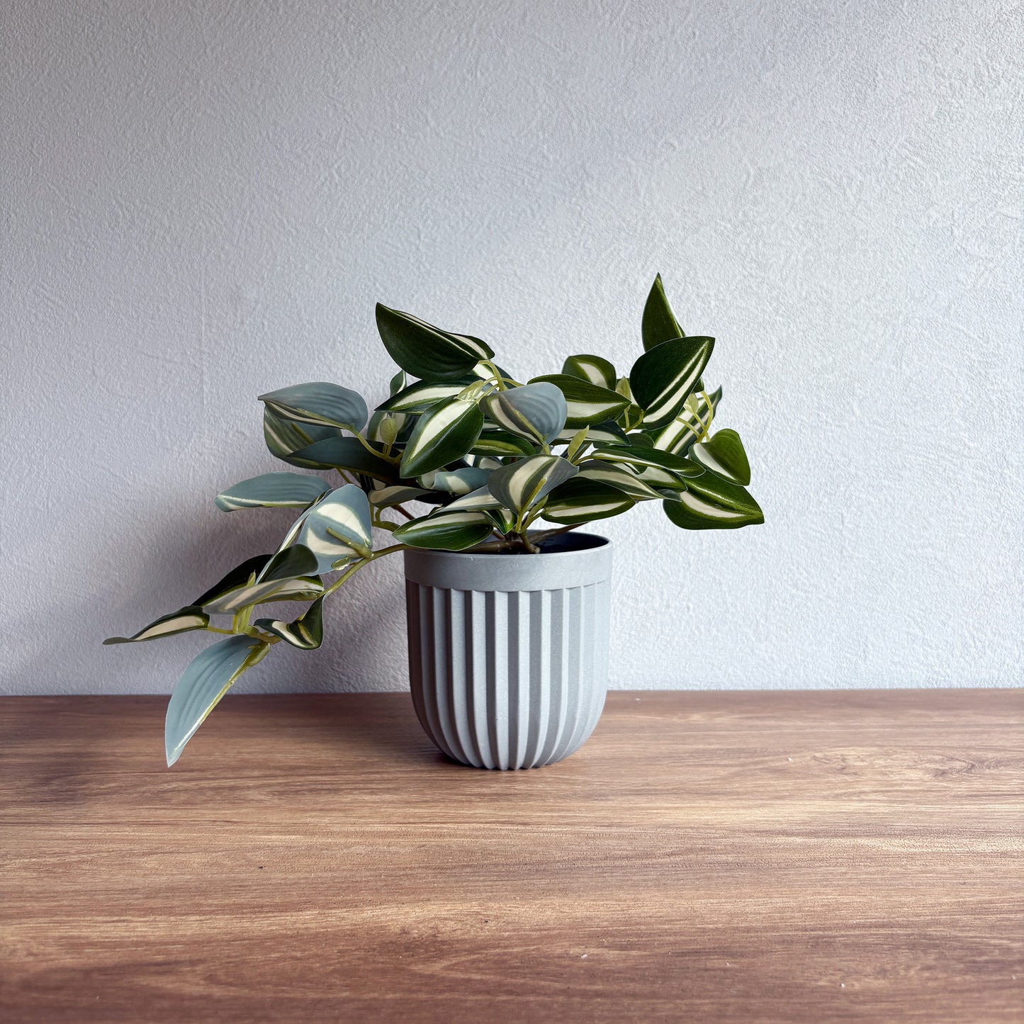 ワンダリング グレーポット1