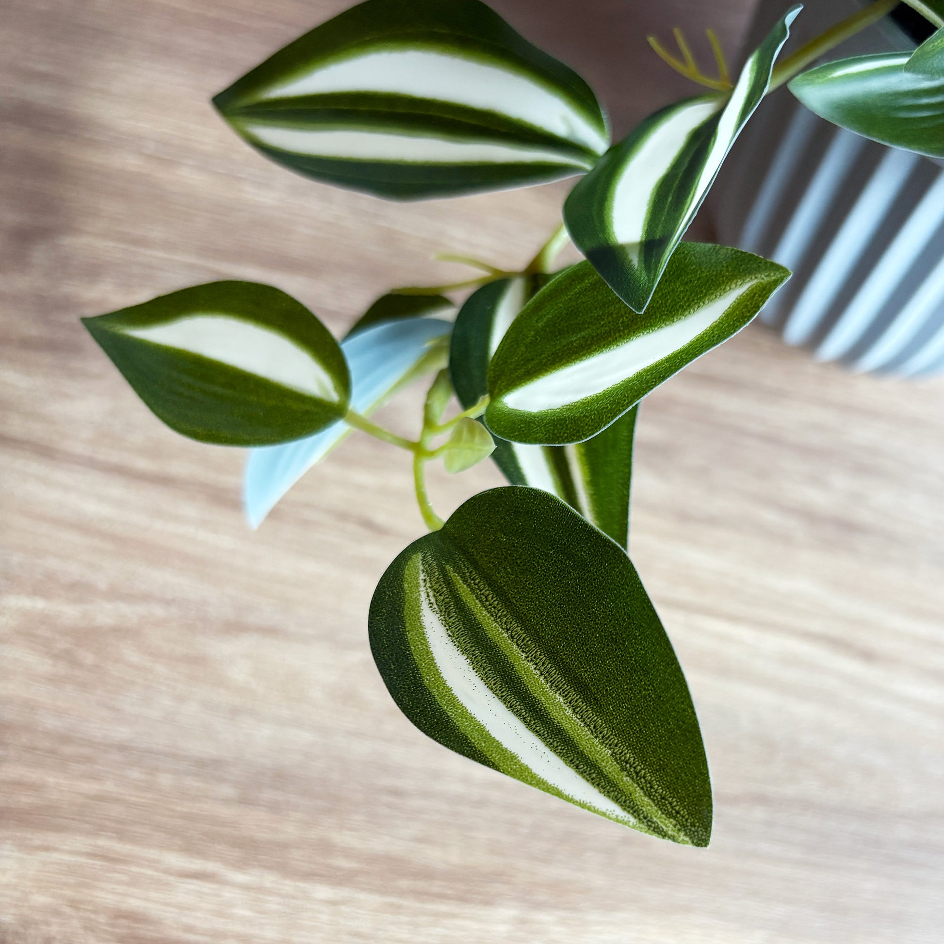 ワンダリング グレーポット4