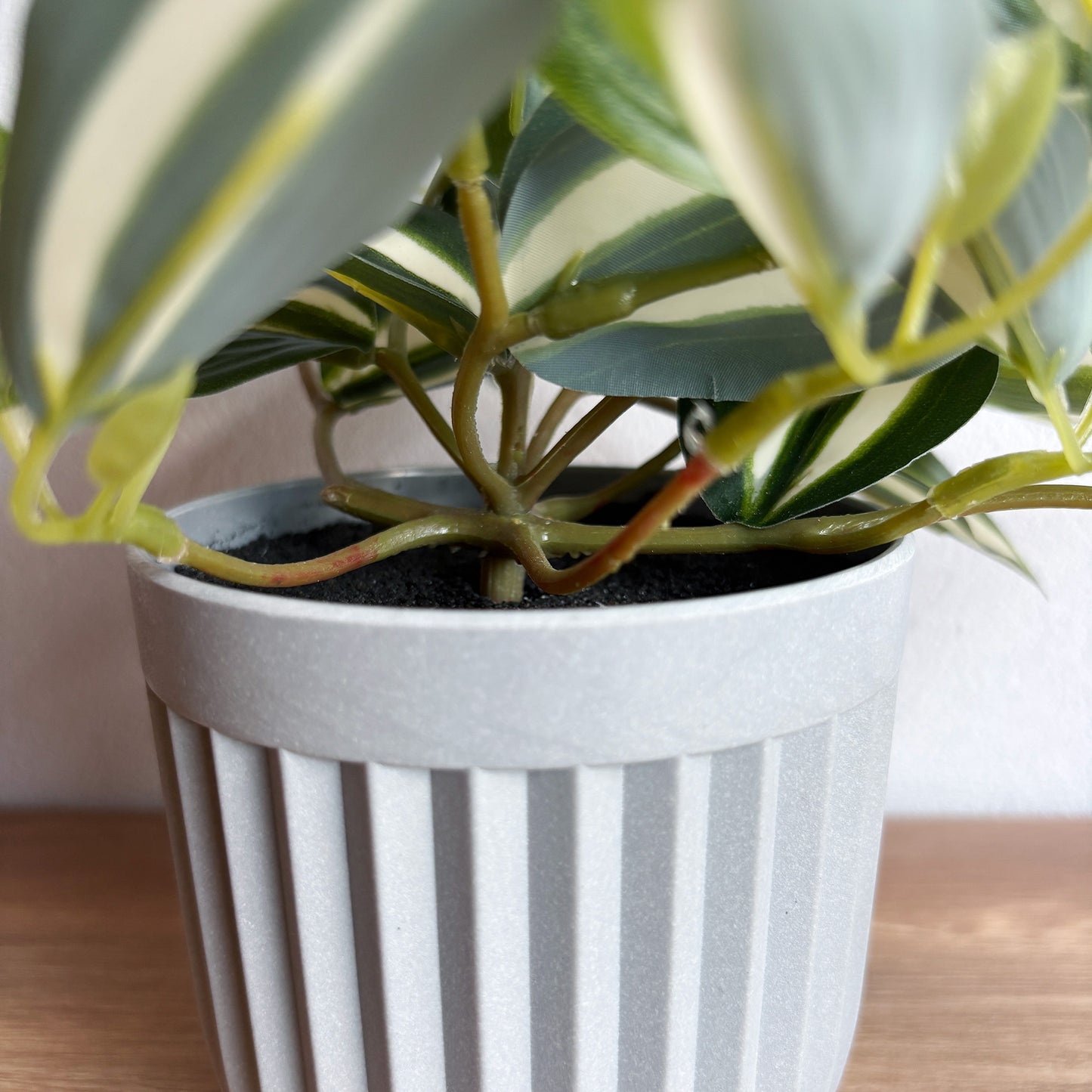 ワンダリング グレーポット6