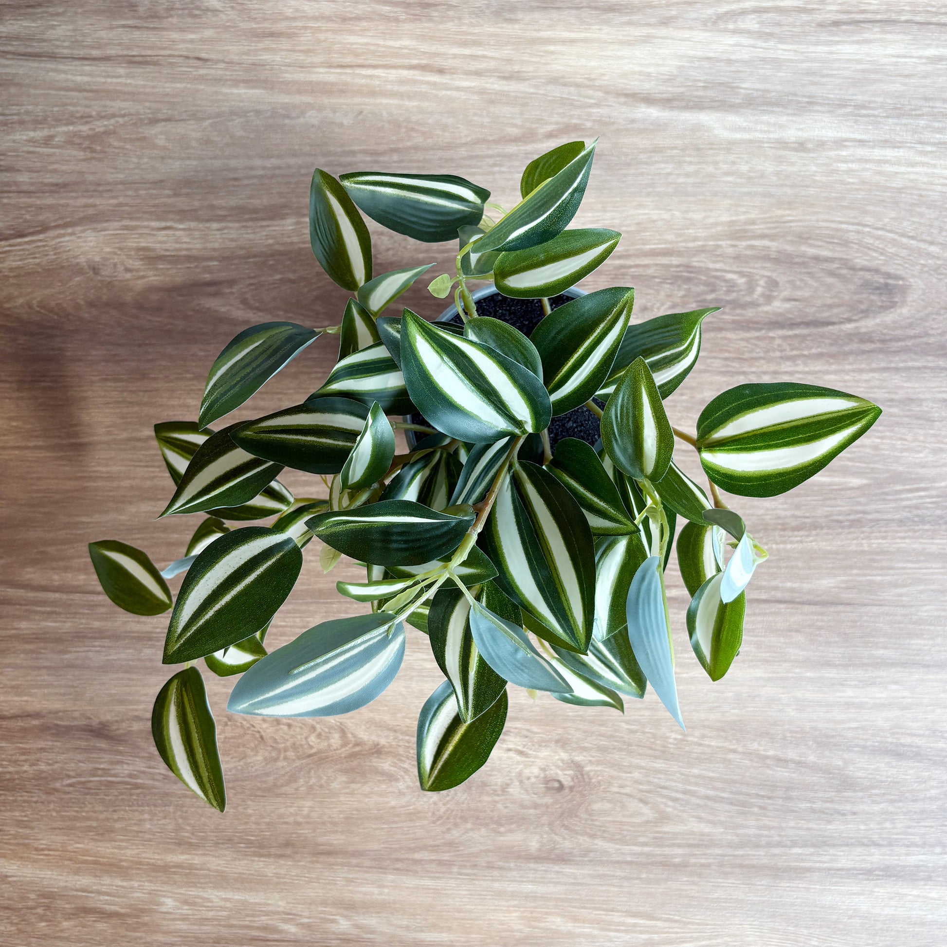 ワンダリング グレーポット7