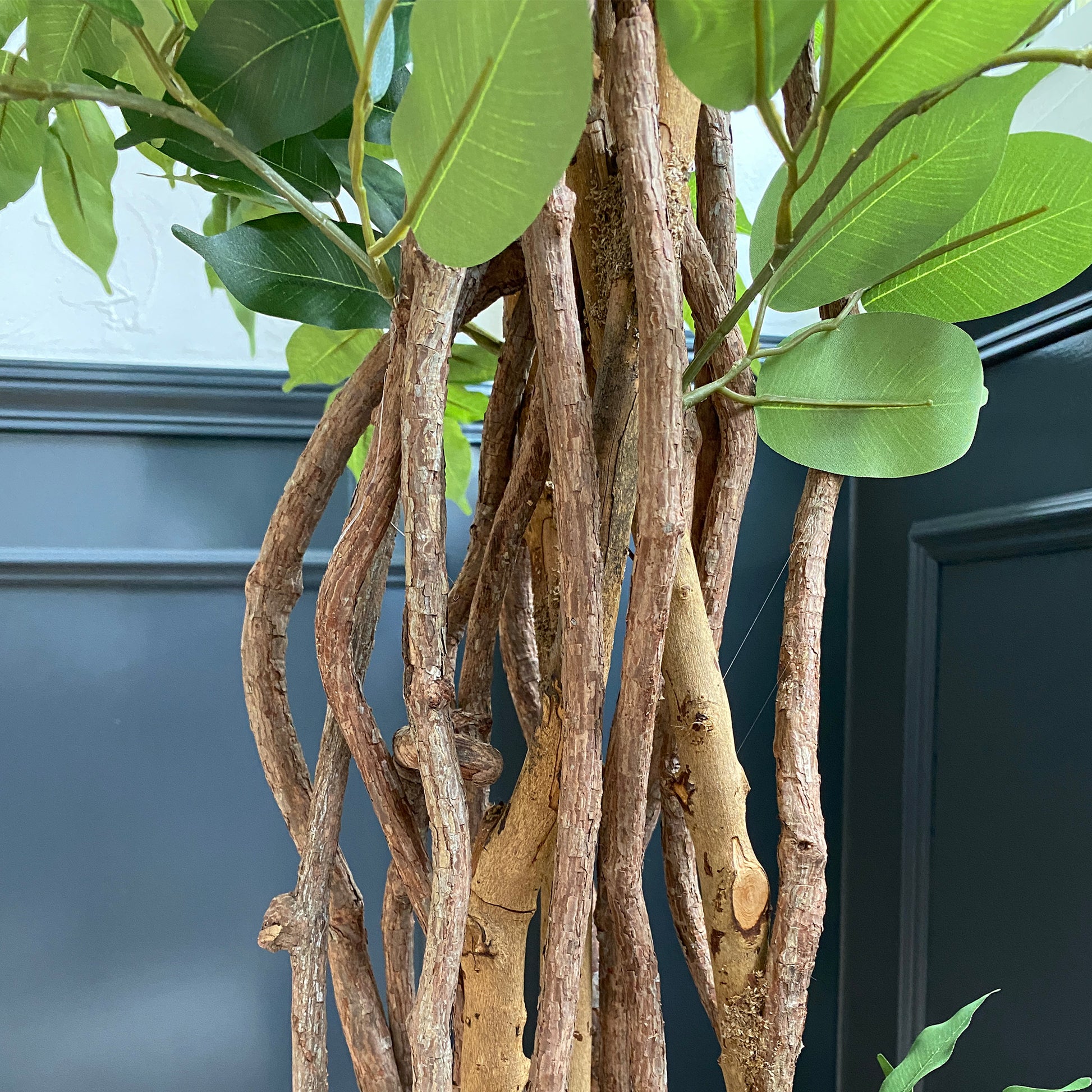 フィカスベンジャミン 180cmの枝部分。天然木の幹を使用しており、本物の木のような風合い。