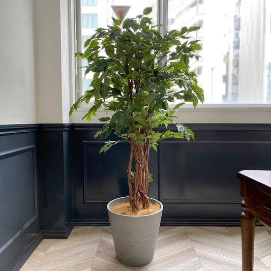 フィカスベンジャミン 180cmの全体写真。リアルな質感と枝ぶりが魅力の大型フェイクグリーン。