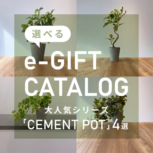【ギフト】選べる！CEMENT POTフェイクグリーン eギフトカタログ 1
