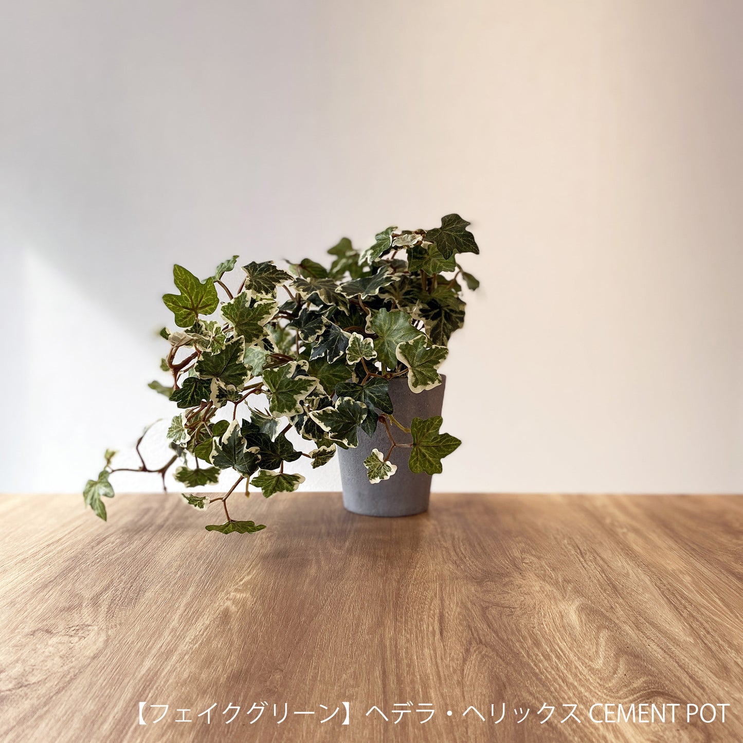 【ギフト】選べる！CEMENT POTフェイクグリーン eギフトカタログ 2