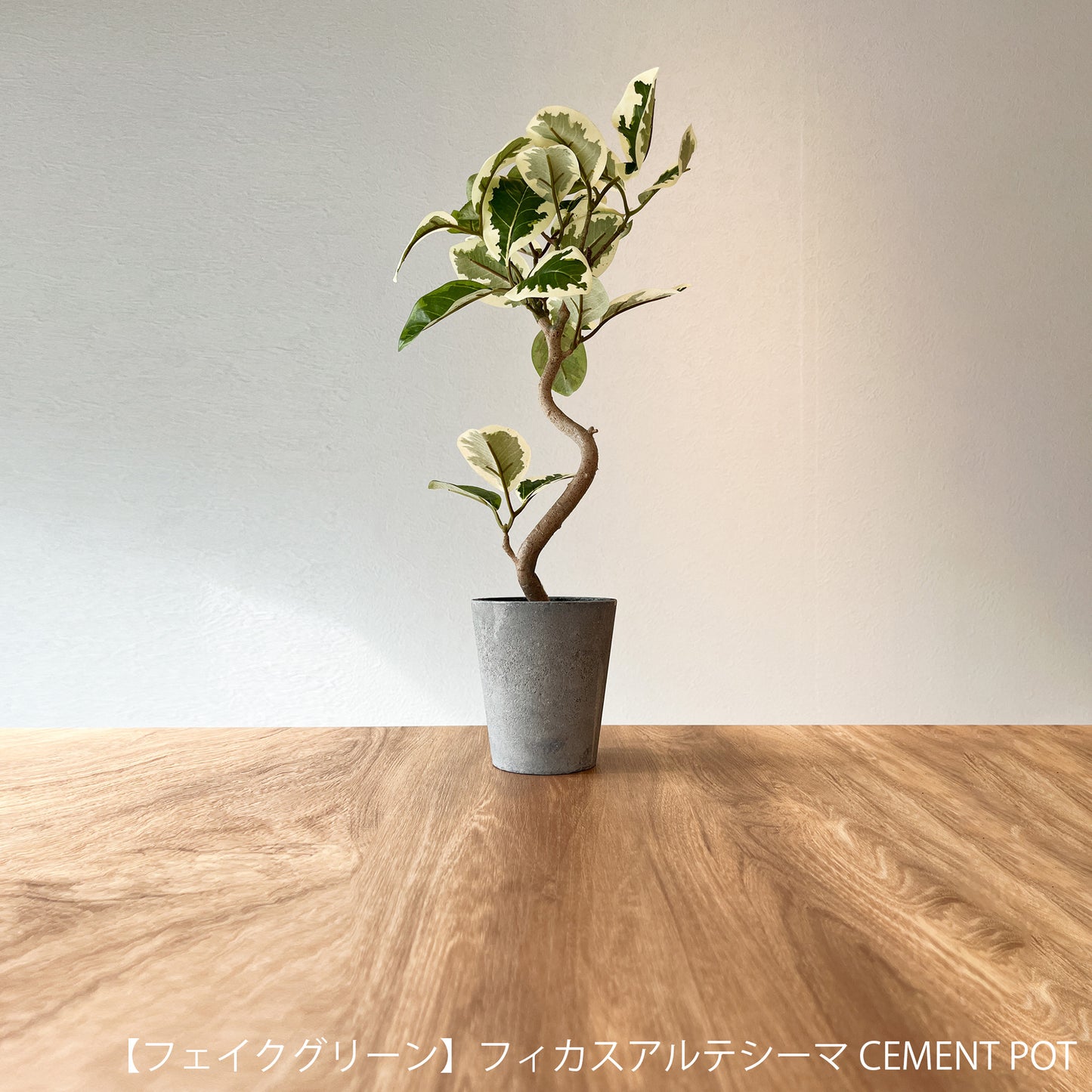 【ギフト】選べる！CEMENT POTフェイクグリーン eギフトカタログ 3