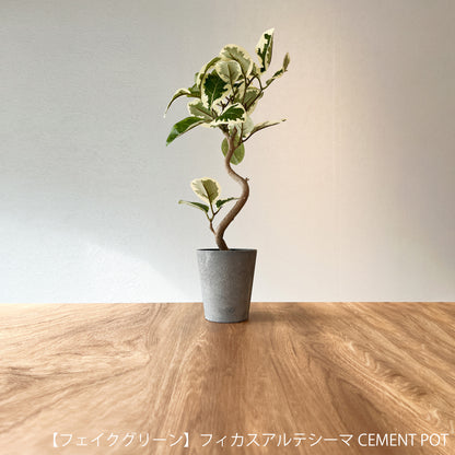 【ギフト】選べる！CEMENT POTフェイクグリーン eギフトカタログ 3