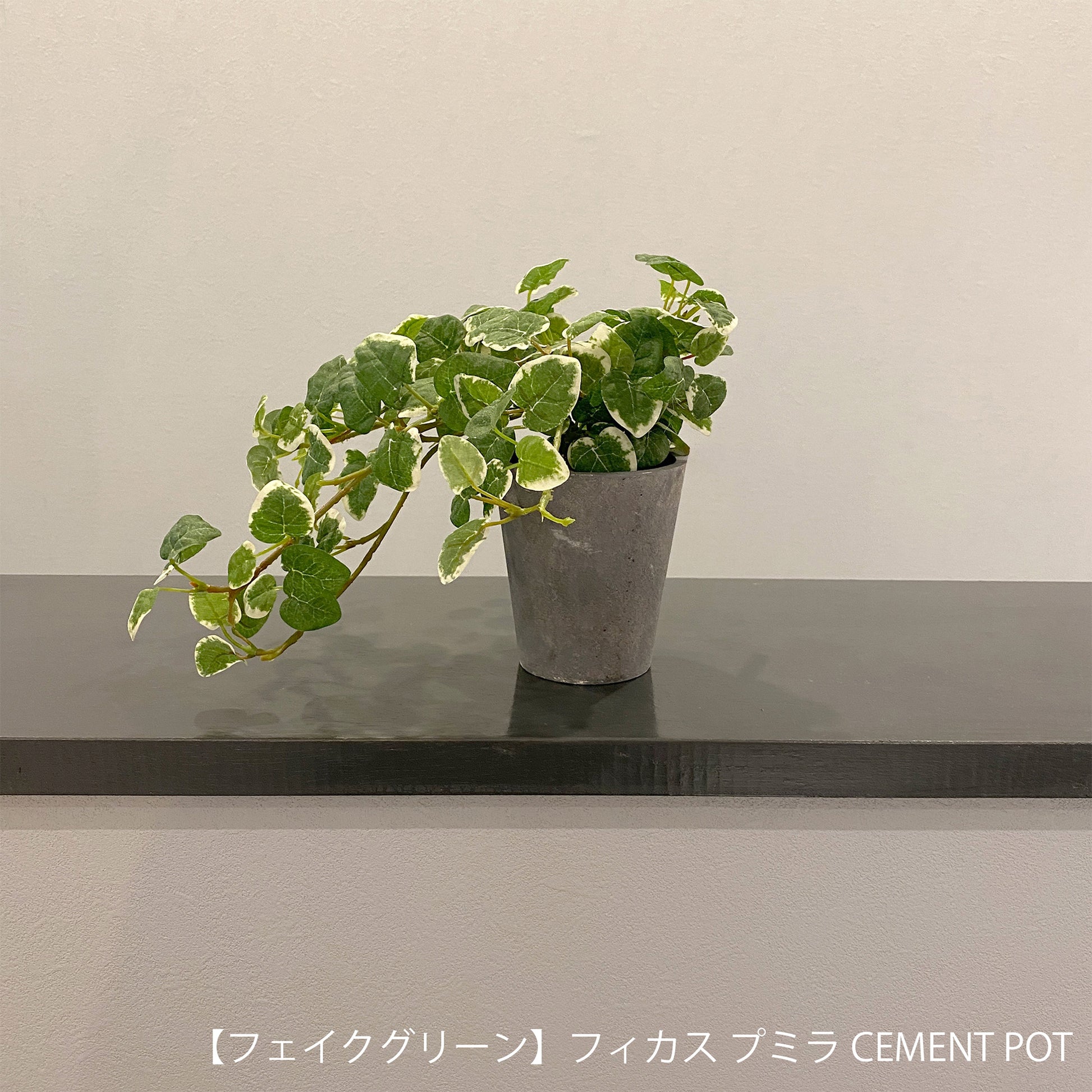 【ギフト】選べる！CEMENT POTフェイクグリーン eギフトカタログ 4