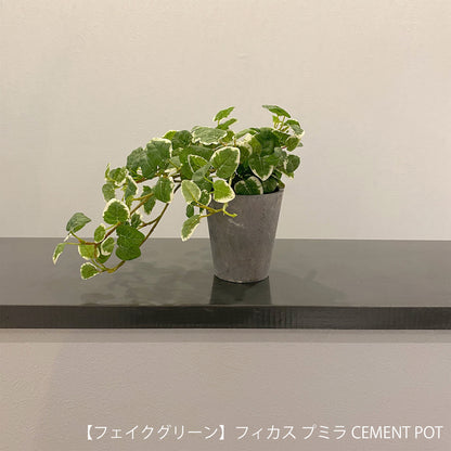 【ギフト】選べる！CEMENT POTフェイクグリーン eギフトカタログ 4