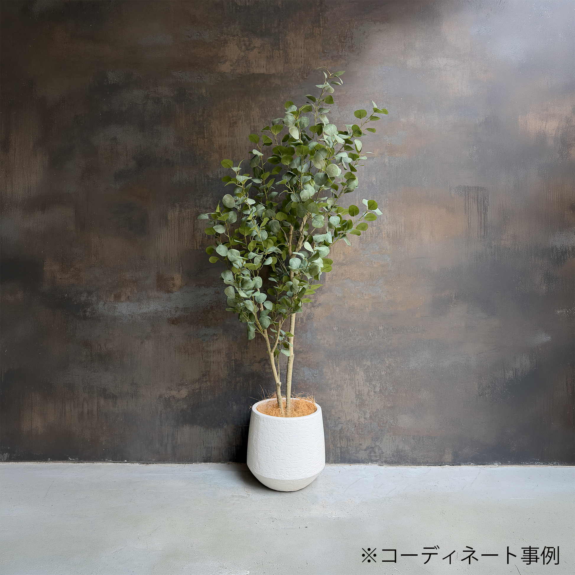 【大型フェイクグリーン】 ユーカリツリー リアルウッド 180cm 7