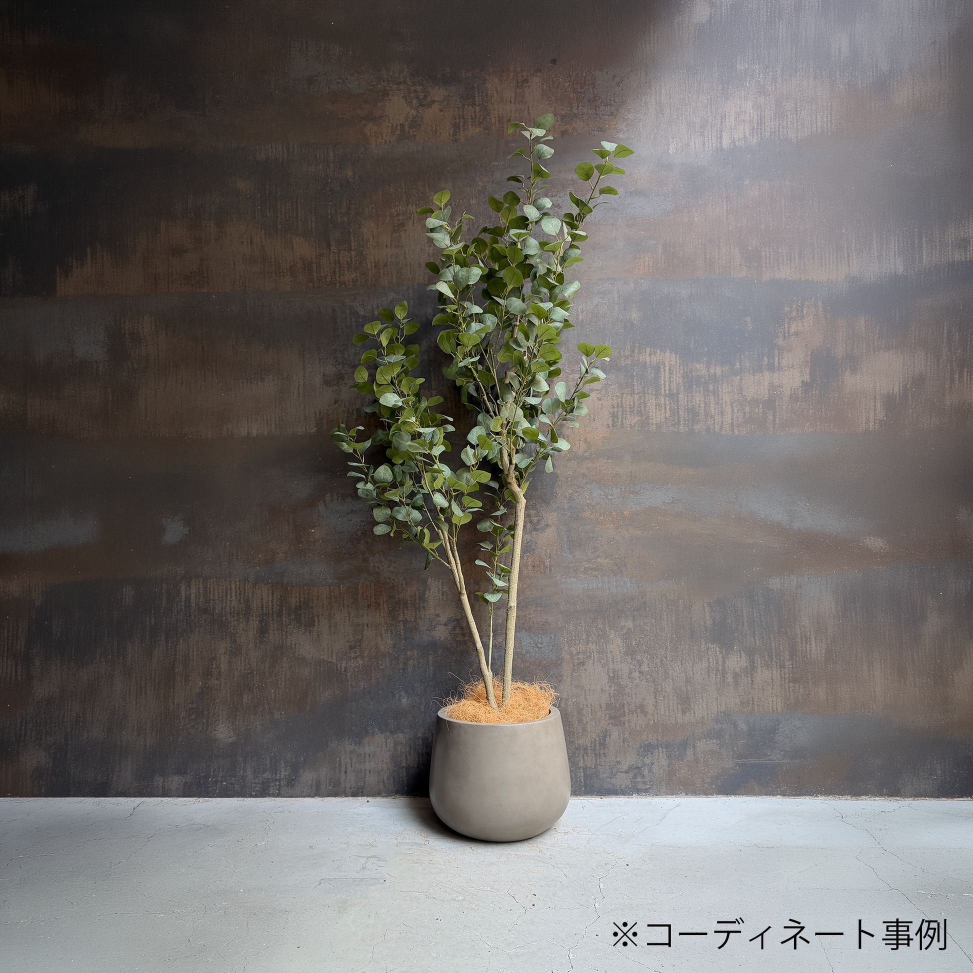ユーカリツリー リアルウッド 180cm - フェイクグリーン専用通販サイト