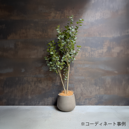 【大型フェイクグリーン】 ユーカリツリー リアルウッド 180cm 8