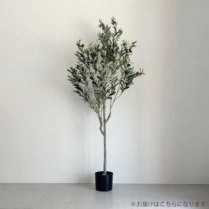 【大型フェイクグリーン】アルベロ オリーブ 156cm 2