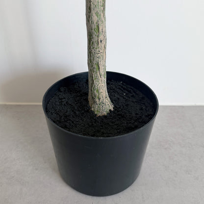 【大型フェイクグリーン】アルベロオリーブ 180cm 10