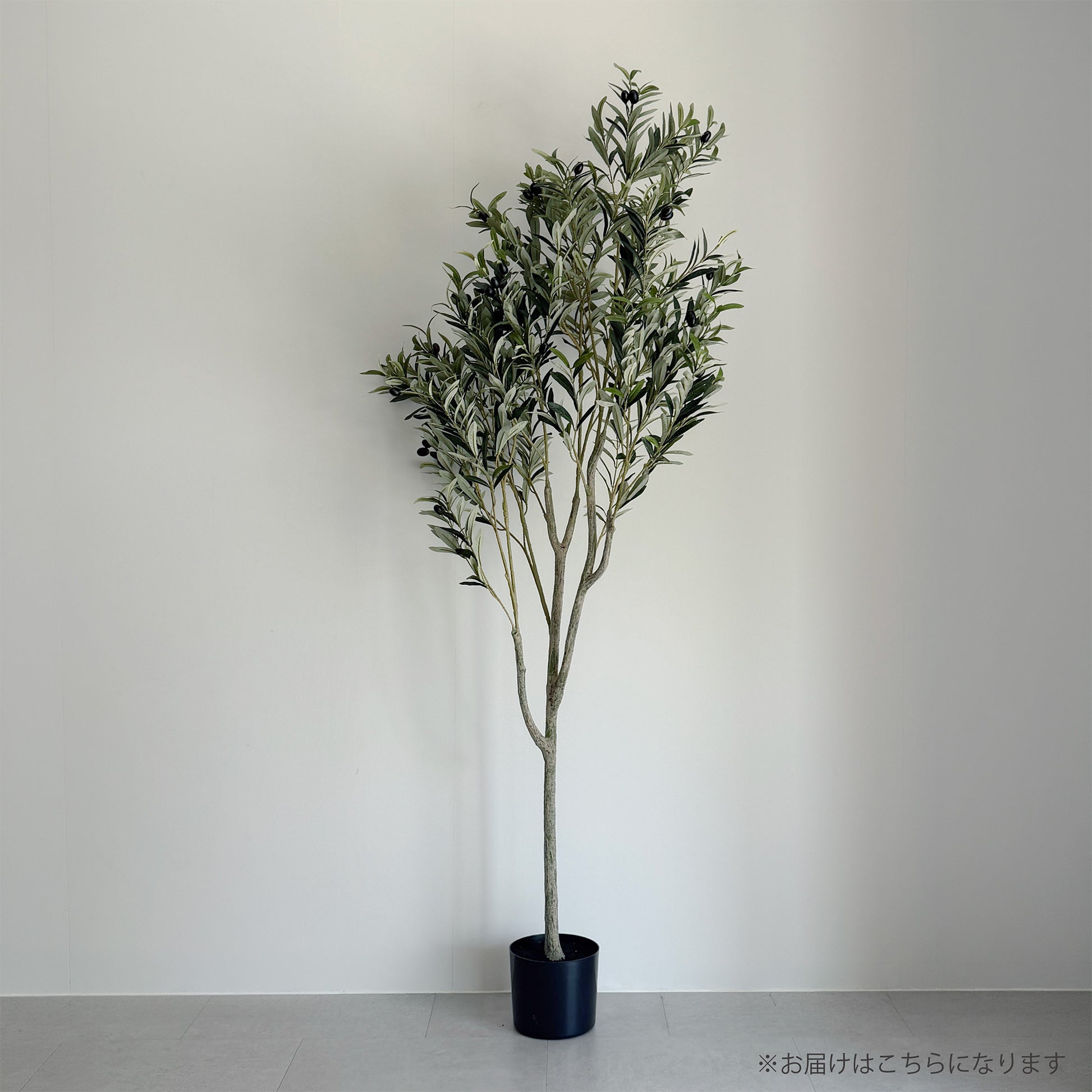 【大型フェイクグリーン】アルベロオリーブ 180cm 2