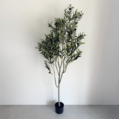 【大型フェイクグリーン】アルベロオリーブ 180cm 3