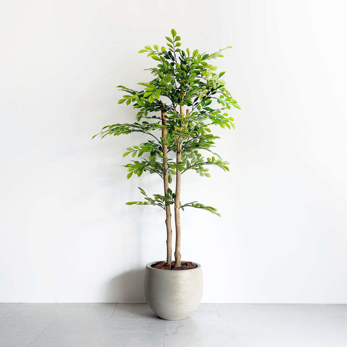 【大型フェイクグリーン】トネリコ 110cm CEMENT POT / NA 1
