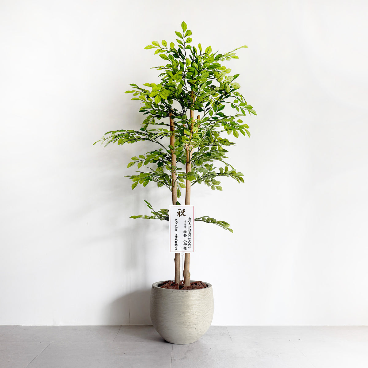 【大型フェイクグリーン】トネリコ 110cm CEMENT POT / NA 10