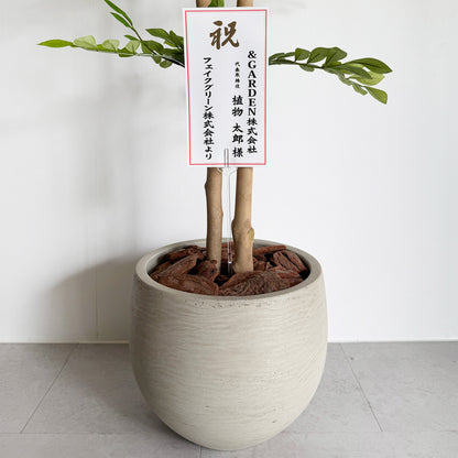 【大型フェイクグリーン】トネリコ 110cm CEMENT POT / NA 11