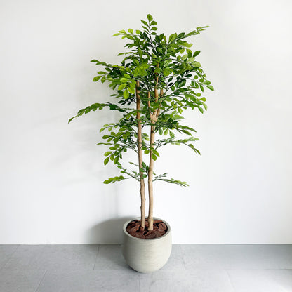 【大型フェイクグリーン】トネリコ 110cm CEMENT POT / NA 2