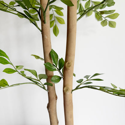 【大型フェイクグリーン】トネリコ 110cm CEMENT POT / NA 3