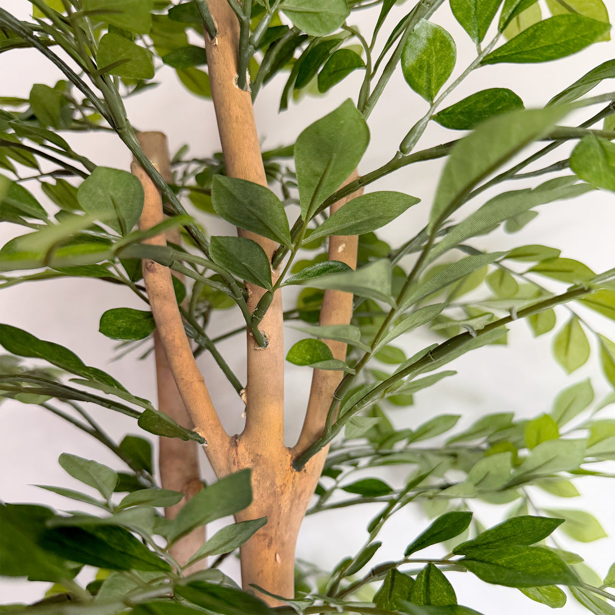 【大型フェイクグリーン】トネリコ 110cm CEMENT POT / NA 4
