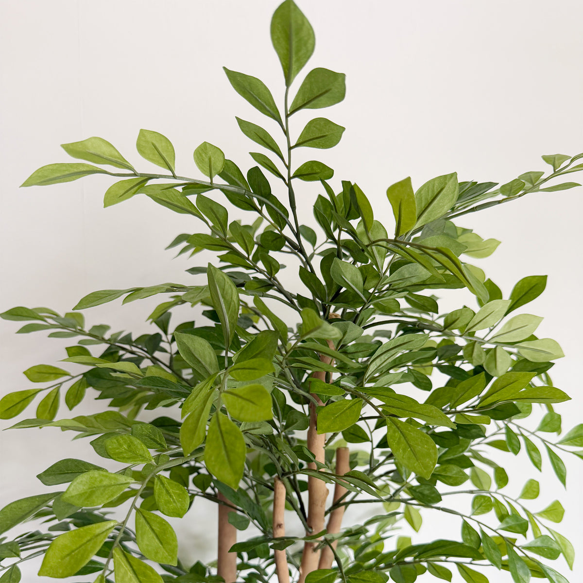 【大型フェイクグリーン】トネリコ 110cm CEMENT POT / NA 7