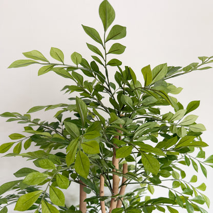 【大型フェイクグリーン】トネリコ 110cm CEMENT POT / NA 7