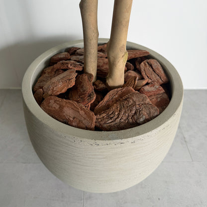 【大型フェイクグリーン】トネリコ 110cm CEMENT POT / NA 9