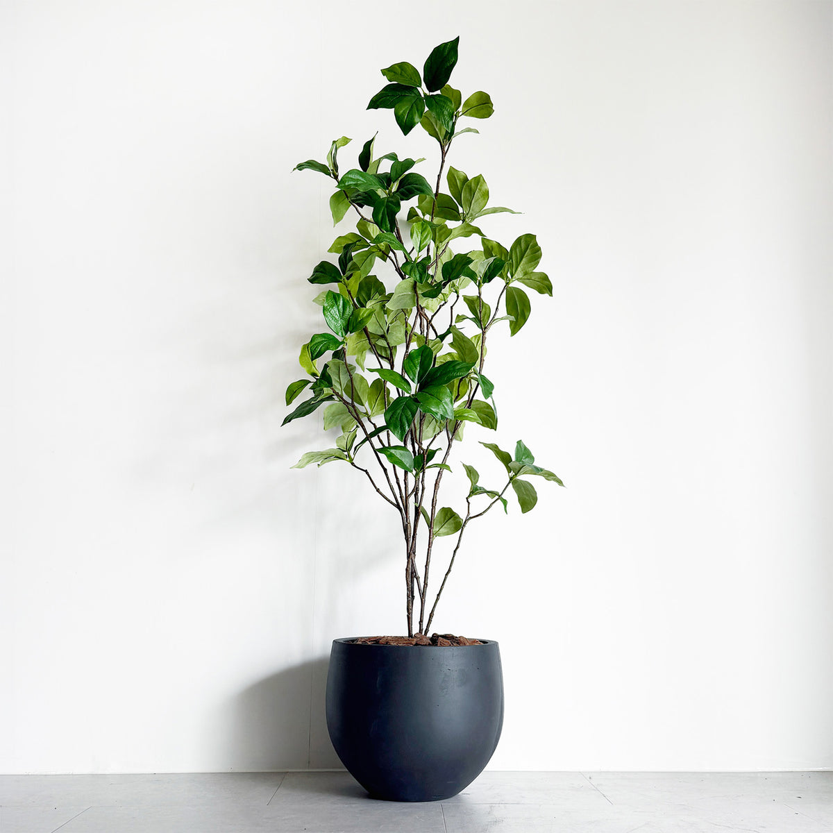 【大型フェイクグリーン】ドウダン 100cm CEMENT POT / GL 1
