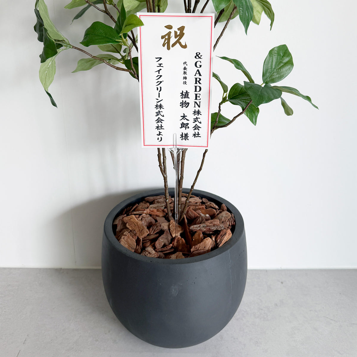 【大型フェイクグリーン】ドウダン 100cm CEMENT POT / GL 10