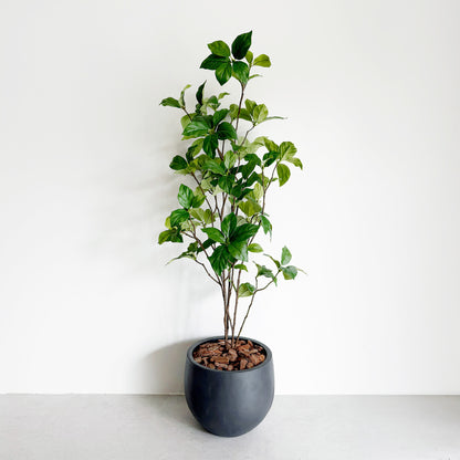【大型フェイクグリーン】ドウダン 100cm CEMENT POT / GL 2