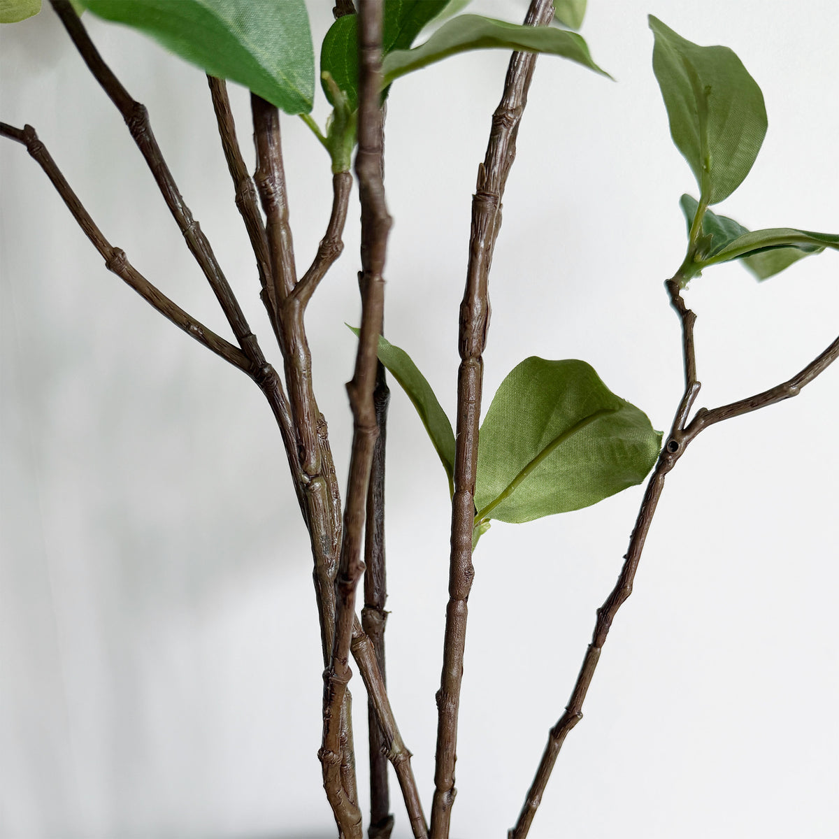 【大型フェイクグリーン】ドウダン 100cm CEMENT POT / GL 3