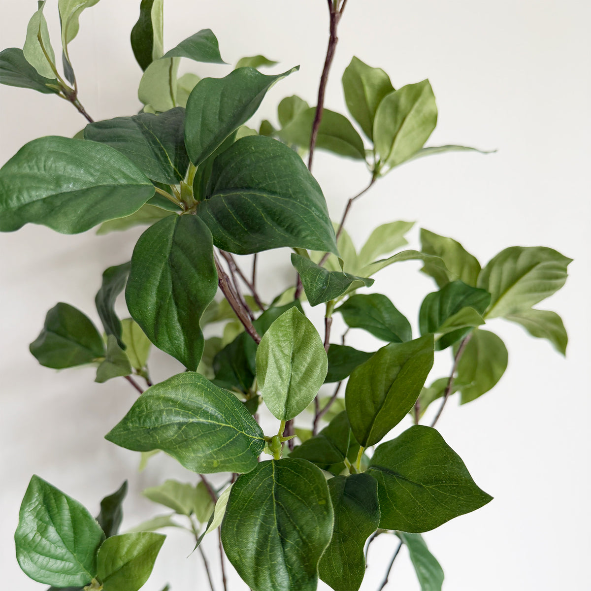 【大型フェイクグリーン】ドウダン 100cm CEMENT POT / GL 6