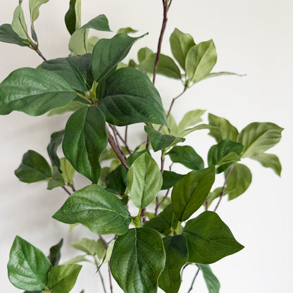 【大型フェイクグリーン】ドウダン 100cm CEMENT POT / GL 6
