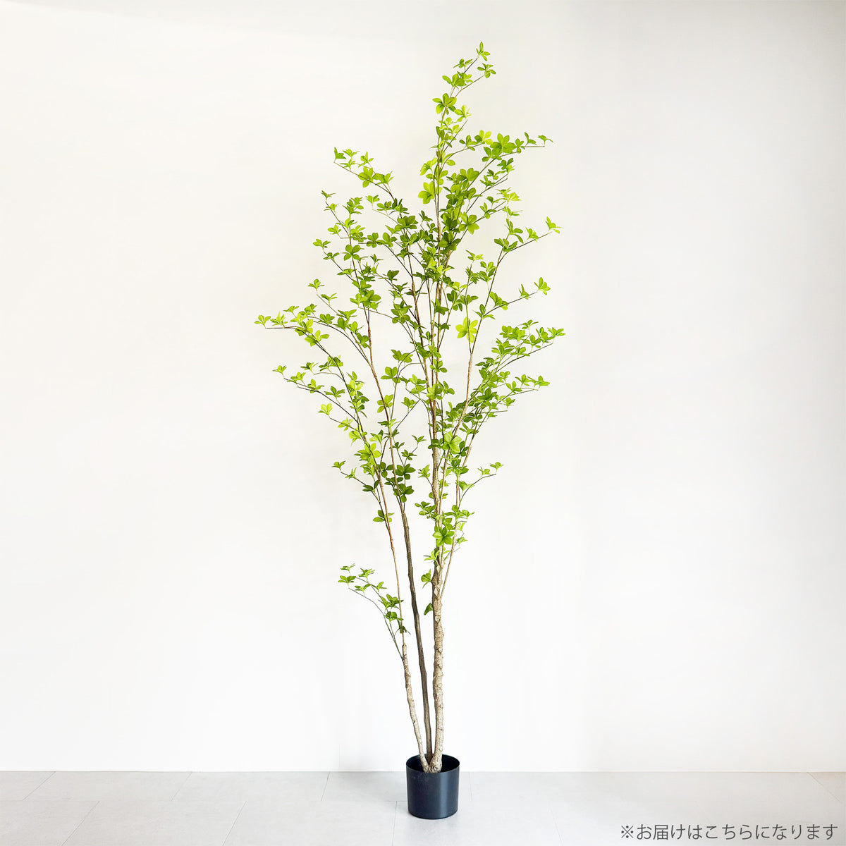 【大型フェイクグリーン】ドウダンツツジ 210cm 2