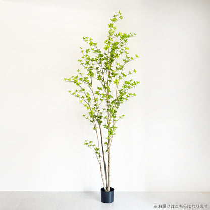 【大型フェイクグリーン】ドウダンツツジ 210cm 2