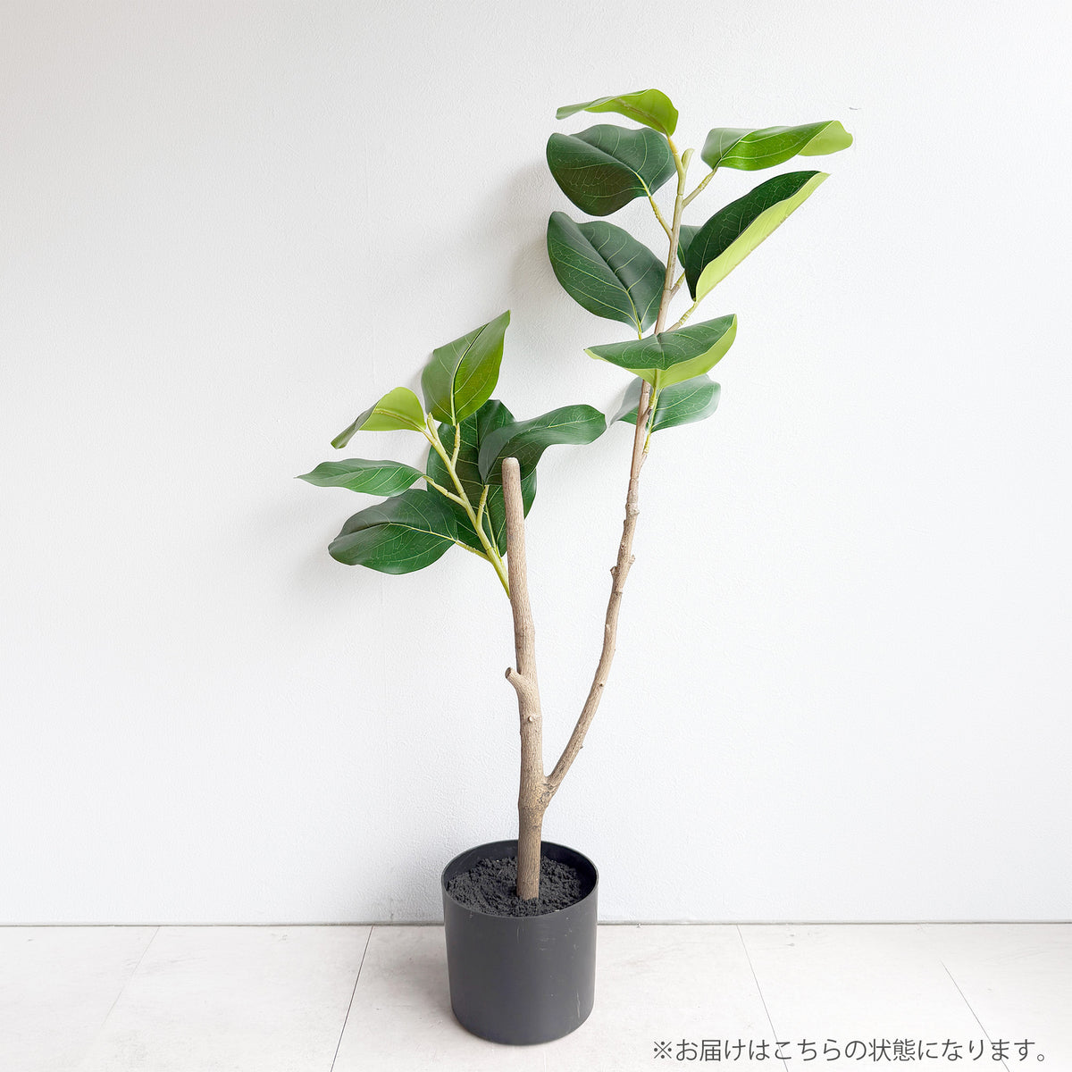 【大型フェイクグリーン】フィカス・ベンガレンシス 145cm 4