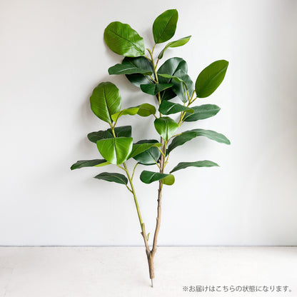 【大型フェイクグリーン】フィカス・ベンガレンシス 145cm 5