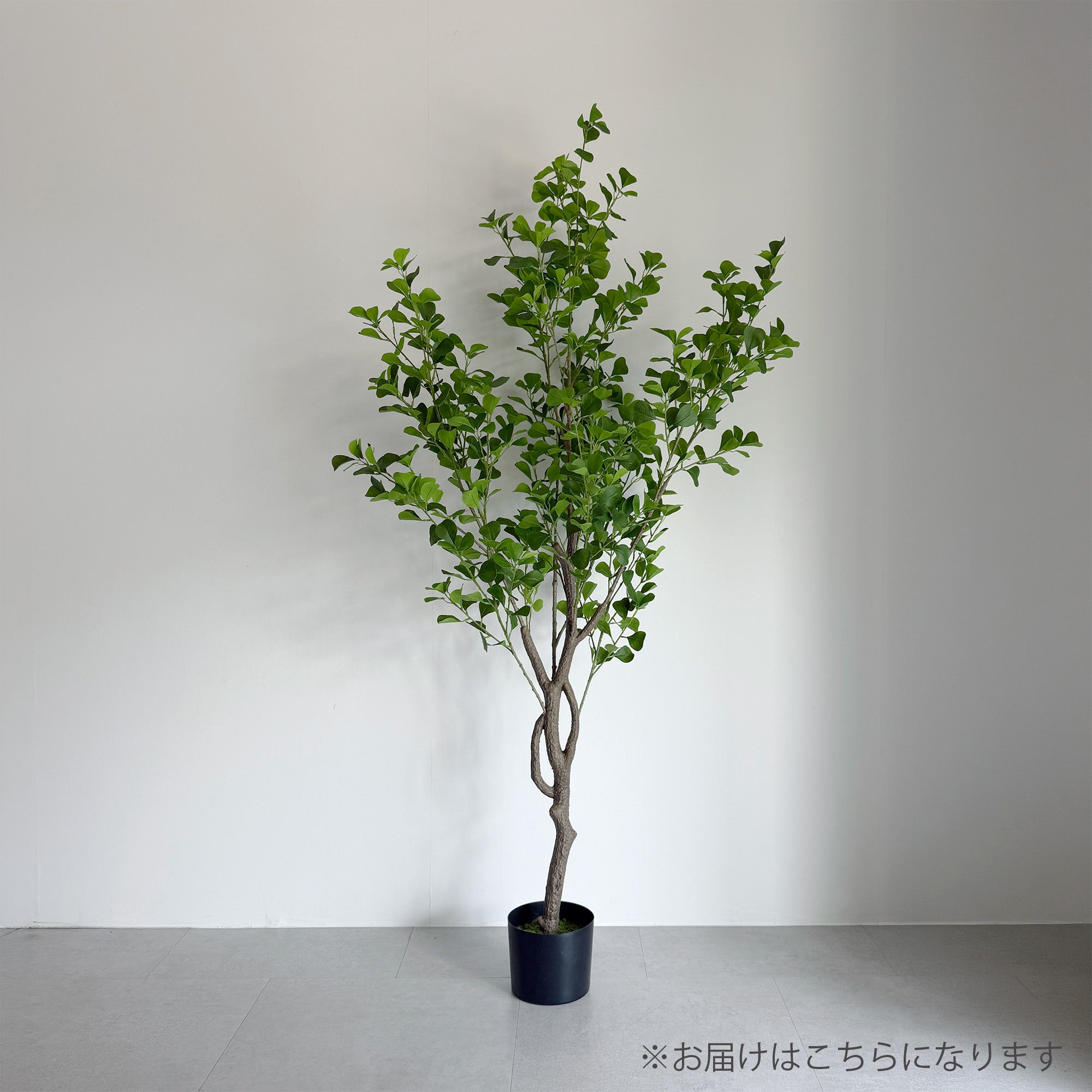 【大型フェイクグリーン】フィカスハートブランチ 150cm