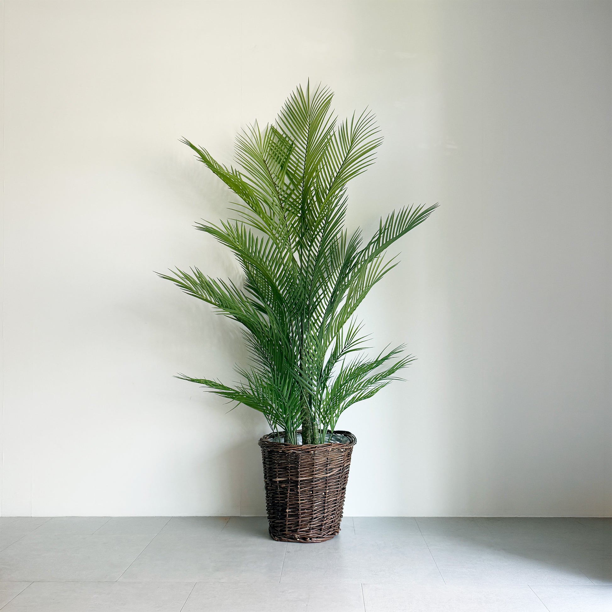 【大型フェイクグリーン】フレッシュパーム 150cm 1