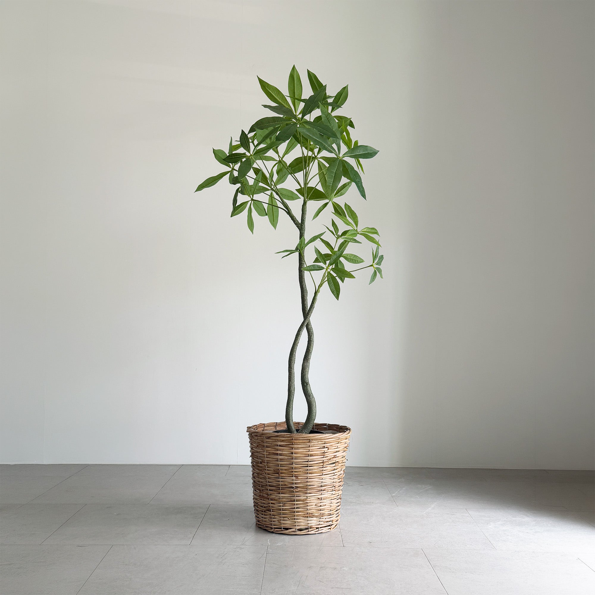 置き型 - 人工観葉植物専門通販サイト – フェイクグリーン専門店