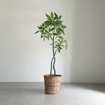 【大型フェイクグリーン】パキラ 120cm 1