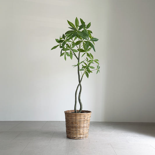 【大型フェイクグリーン】パキラ 120cm 1