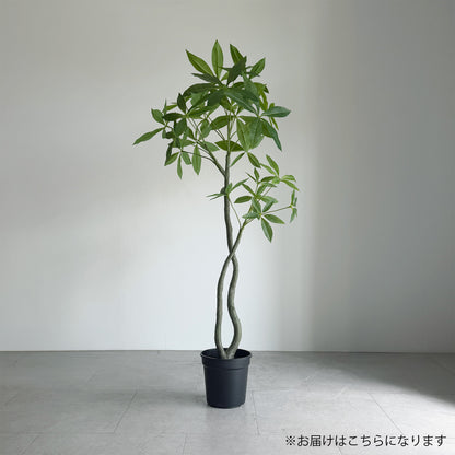【大型フェイクグリーン】パキラ 120cm 2